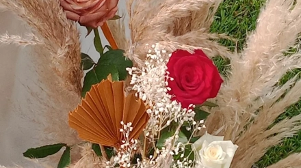 b0d621f0-f45c-4a57-95c4-424062016697_2_142986-175742052669352