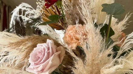 eb8daf25-92d5-46d4-ae16-5d7464e6691f_2_142986-175742052847091