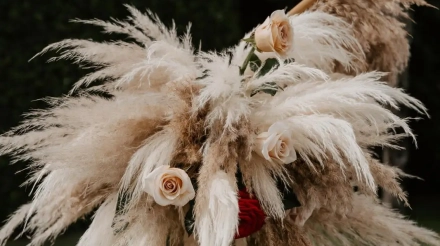 whatsapp-image-2025-12-19-at-12-45-01-6_2_142986-176614675659993