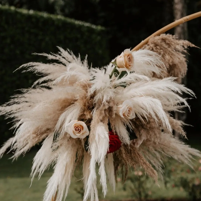 whatsapp-image-2025-12-19-at-12-45-01-6_2_142986-176614675659993